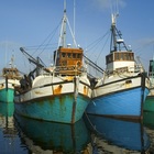 Town - Gansbaai Tourism Bureau - Xplorio™ Gansbaai Town - Gansbaai Tourism Bureau - Xplorio™ Gansbaai