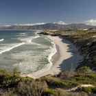 Walker Bay - Gansbaai Tourism Bureau - Xplorio™ Gansbaai