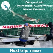 Next Marine Dynamics Shark Cage Diving Trip: 18 February 2022