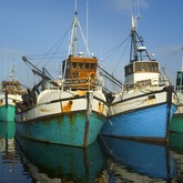 Gansbaai Video - Gansbaai Tourism Bureau -  Xplorio™ Gansbaai 