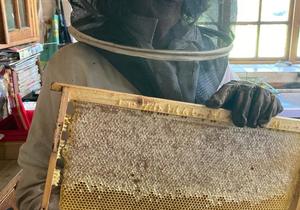 Real Honey, Real Milk, Real Cows, Real Farm