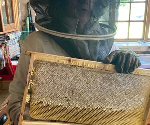 Real Honey, Real Milk, Real Cows, Real Farm