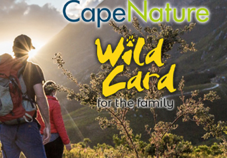 Question 4: CapeNature “Win a Wild Card” Competition 2022