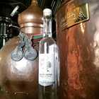 AGAVE Spirit - Jolly Rooster @ Fynbos Distillery - Xplorio™ Stanford