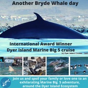 Next Dyer Island Marine Big 5 Tour: 22 February 2022