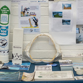 Dyer Island Section - Gansbaai Tourism Bureau - Xplorio™ Gansbaai 