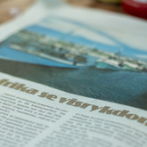 Fish Gansbaai - Gansbaai Tourism Bureau - Xplorio™ Gansbaai 