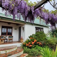 House From Garden - Foxy House - Xplorio™ Gansbaai 