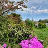 Lawn By The Dam in Spring - Foxy House - Xplorio™ Gansbaai 