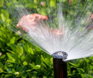 Home Irrigation System - Save Time and Money