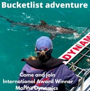 Next Marine Dynamics Shark Cage Diving Trip: 23 February 2022