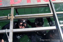 Daily Blog: 22 February 2022 | Shark Cage Diving in South Africa