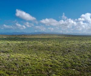 R3,600,000 | 4Ha Vacant Land For Sale in Birkenhead