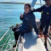 Shark Cage Diving - White Shark Projects - Xplorio™ Gansbaai