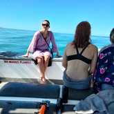 Shark Cage Diving - White Shark Projects - Xplorio™ Gansbaai