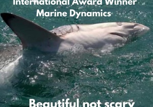 Next Marine Dynamics Shark Cage Diving Trip: 25 February 2022