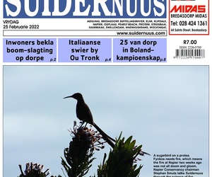 Suidernuus / Southern Post | 25 February 2022