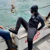 Shark Cage Diving - White Shark Projects - Xplorio™ Gansbaai