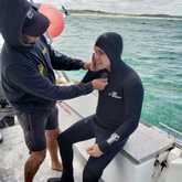 Shark Cage Diving - White Shark Projects - Xplorio™ Gansbaai