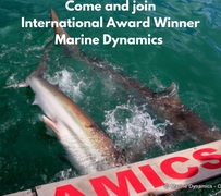 Next Marine Dynamics Shark Cage Diving Trip: 26 February 2022