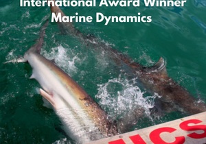 Next Marine Dynamics Shark Cage Diving Trip: 26 February 2022