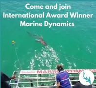 Next Marine Dynamics Shark Cage Diving Trip: 1 March 2022