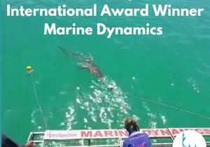 Next Marine Dynamics Shark Cage Diving Trip: 1 March 2022