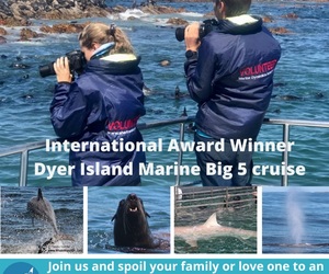 Next Dyer Island Marine Big 5 Tour: 1 March 2022