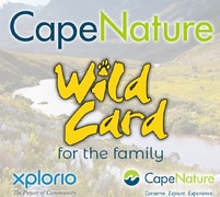 Winner: CapeNature “Win a Wild Card” Competition 2022