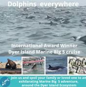 Next Dyer Island Marine Big 5 Tour: 4 March 2022