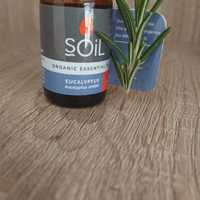 Eucalyptus Oil - Mirre & Kaneel Essensiële Olies / Essential Oils - Xplorio™ Kleinmond