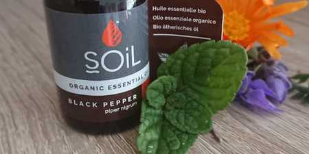 WhatsApp_Image_2022_03_03_at_9.27.21_PM_1__1646377288