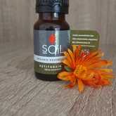 Petitgrain Citrus Aurantium Essential Oil - Mirre & Kaneel Essensiële Olies / Essential Oils - Xplorio™ Kleinmond