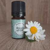 Healing Leaves Scriptural Diffuser Blend - Mirre & Kaneel Essensiële Olies / Essential Oils - Xplorio™ Kleinmond