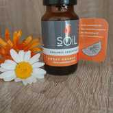 Sweet Orange Essential Oil - Mirre & Kaneel Essensiële Olies / Essential Oils - Xplorio™ Kleinmond