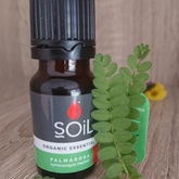 Palmarosa Essential Oil - Mirre & Kaneel Essensiële Olies / Essential Oils - Xplorio™ Kleinmond
