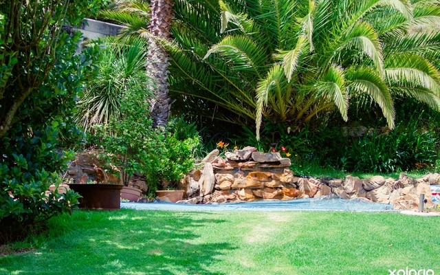 Goedvertrou_dam_for_swimming_1515402986_1646894108