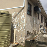 Damp Control - Bright Light Painters - Xplorio™ Bredasdorp