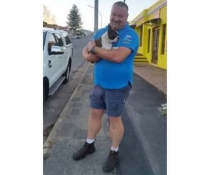 Elke hond kry sy dag, dié brak byna ’n naweek