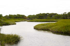 Nuwejaars River near Elim
