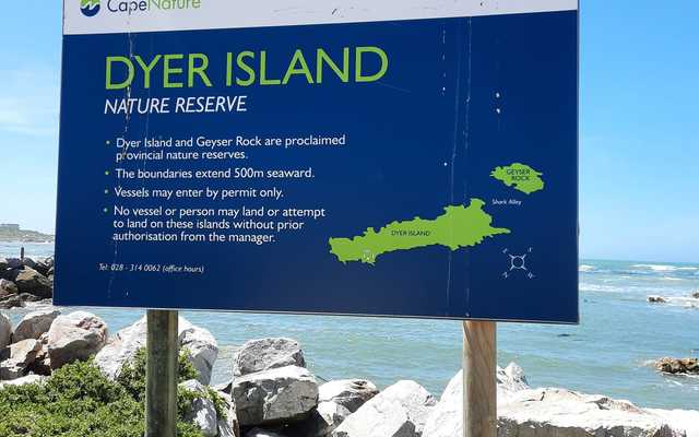 Weekend_Adventures_of_the_Fishy_Kind_2_1_1647246176