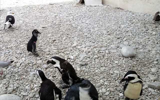 Weekend_Adventures_of_the_Fishy_kind_4_1_1647246177