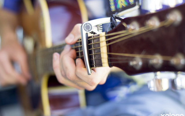 gansbaai_wine_tasting_lomond_live_entertainment_1547025084_1647248402