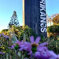 Signage - Afrikanos - Xplorio™ Gansbaai 