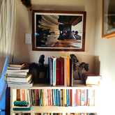 Books - Foxy House - Xplorio™ Gansbaai
