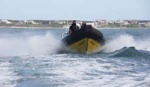 SANDF Supports Anti-Poaching Efforts