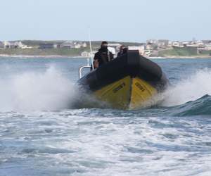 SANDF Supports Anti-Poaching Efforts