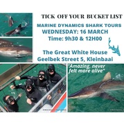 Next Marine Dynamics Shark Cage Diving Trip: 16 March 2022