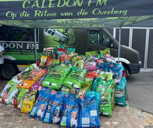 Thank You For Feeding A Stray!