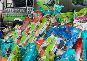 Thank You For Feeding A Stray!